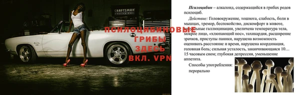 гидра Верхнеуральск