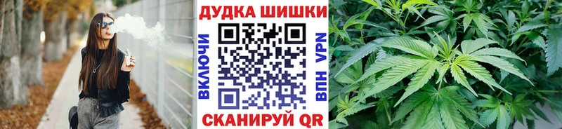 Бошки Шишки White Widow  Купить закладки  Менделеевск 